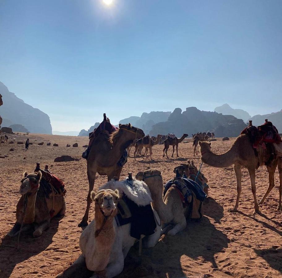 Wadi Rum Desert Camp Buitenkant foto